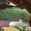 1988-case-ih-1660-image-18