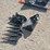 #26115-•-mini-excavator-attachment-set-image-1