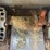 bobcat-963-image-23