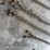 log-chains-image-10