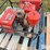 homelite-2750-watt-gas-generator-image-17