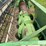 john-deere-216f-image-11