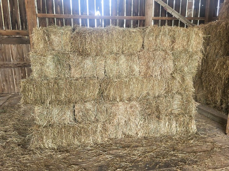 (50)-small-square-bales-of-1st-cutting-hay-in-2025-image-1