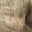 (50)-small-square-bales-of-1st-cutting-hay-in-2025-image-4