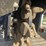 future-sg45-stump-grinder-image-3