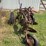 international-12-image-3