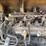 yanmar-yb35-image-36