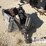 2004-massey-ferguson-8-image-10