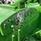 1956-john-deere-80-image-28