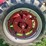 1941-farmall-m-with-m&w-nine-speed-transmission-image-21