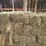 (50)-small-square-bales-of-1st-cutting-hay-in-2025-image-7