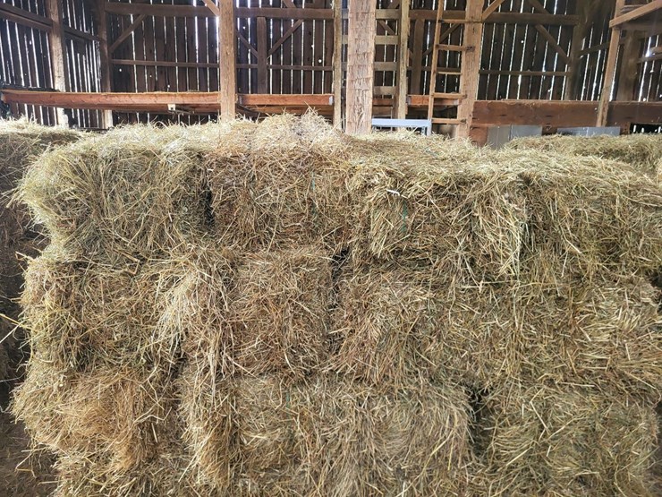 (50)-small-square-bales-of-1st-cutting-hay-in-2025-image-7