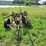 international-14-image-2