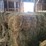 (50)-small-square-bales-of-1st-cutting-hay-in-2025-image-11