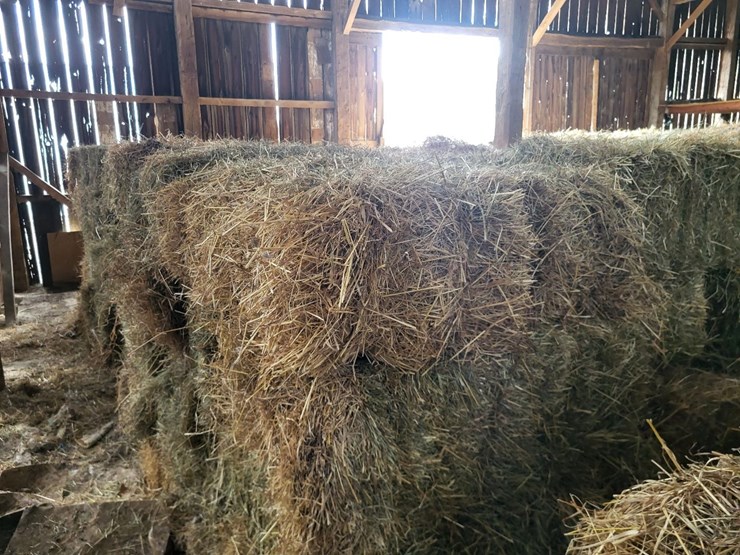 (50)-small-square-bales-of-1st-cutting-hay-in-2025-image-11