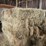 (50)-small-square-bales-of-1st-cutting-hay-in-2025-image-1