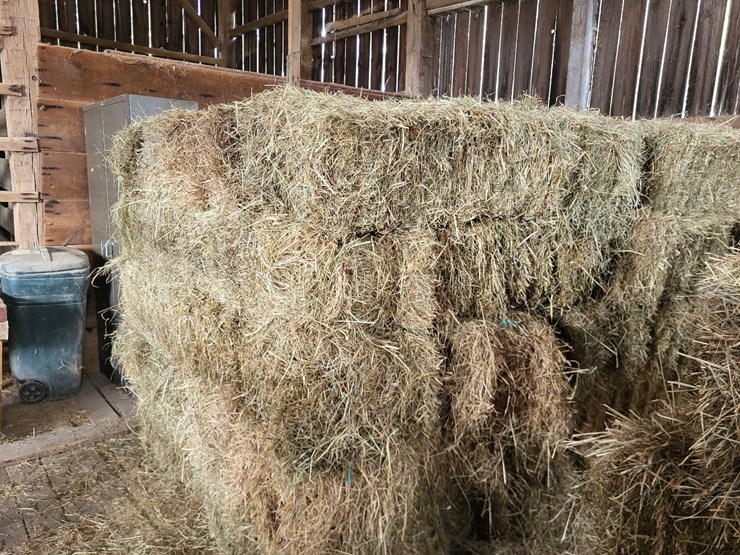 (50)-small-square-bales-of-1st-cutting-hay-in-2025-image-1