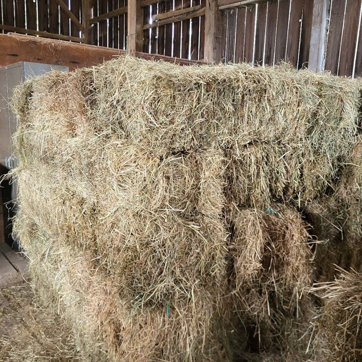 (50) Small Square Bales of 1st Cutting Hay in 2025
