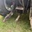 2002-agco-lt85-image-12