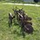 international-14-image-2