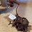 mccormick-deering-sickle-sharpener-image-1
