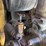 yanmar-yb35-image-39