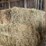 (50)-small-square-bales-of-1st-cutting-hay-in-2025-image-3