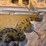 2016-caterpillar-d6k2-lgp-image-41