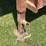 2001-pj-gooseneck-trailer-image-16