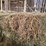 (50)-small-square-bales-of-1st-cutting-hay-in-2025-image-9