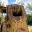 1994-dresser-200-image-27