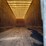 great-dane-53-image-22