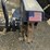 #101-•-coneqtec-stump-grinder-for-skid-loader-image-15