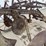 #5302-•-antique-pull-type-plow-image-8