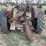 huber-b-image-4