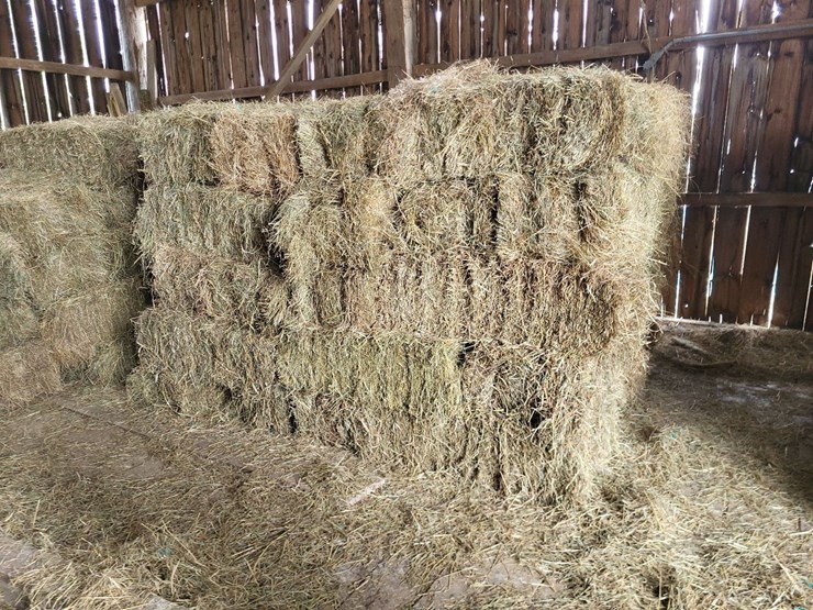 (50)-small-square-bales-of-1st-cutting-hay-in-2025-image-2