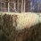 (50)-small-square-bales-of-1st-cutting-hay-in-2025-image-12
