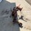 #5027-•-international-tractor-wide-front-axle-assembly-image-4