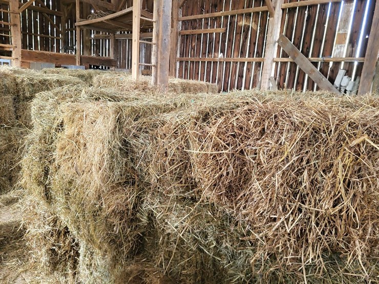 (50)-small-square-bales-of-1st-cutting-hay-in-2025-image-8