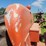 1962-allis-chalmers-d19-gas-image-21