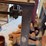 rolling-fairbanks-platform-scale-and-wooden-legs-image-7