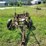 international-14-image-2
