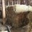 (50)-small-square-bales-of-1st-cutting-hay-in-2025-image-13