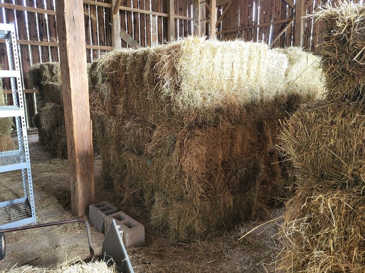(50)-small-square-bales-of-1st-cutting-hay-in-2025-image-13