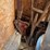shovels,-jobbers,-saw,-and-more-image-3