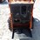 2026-sdlool-36c-skid-steer-tracked-loader-image-9