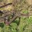 international-12-image-8