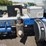 2015-peterbilt-365-t/a-daycab-truck-tractor-image-23