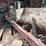 #157-•-timber-harvester-36htd25-portable-bandmill-image-29