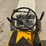 international-cub-image-12